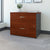 Bush Business Furniture 36W 2-Drawer Lateral File WC24454CSU - Assembled home office setup by UpmostOffice.com