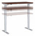 48W x 24D Height Adjustable Standing Desk