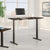 72W x 30D Height Adjustable Standing Desk