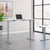 72W x 30D Height Adjustable Standing Desk