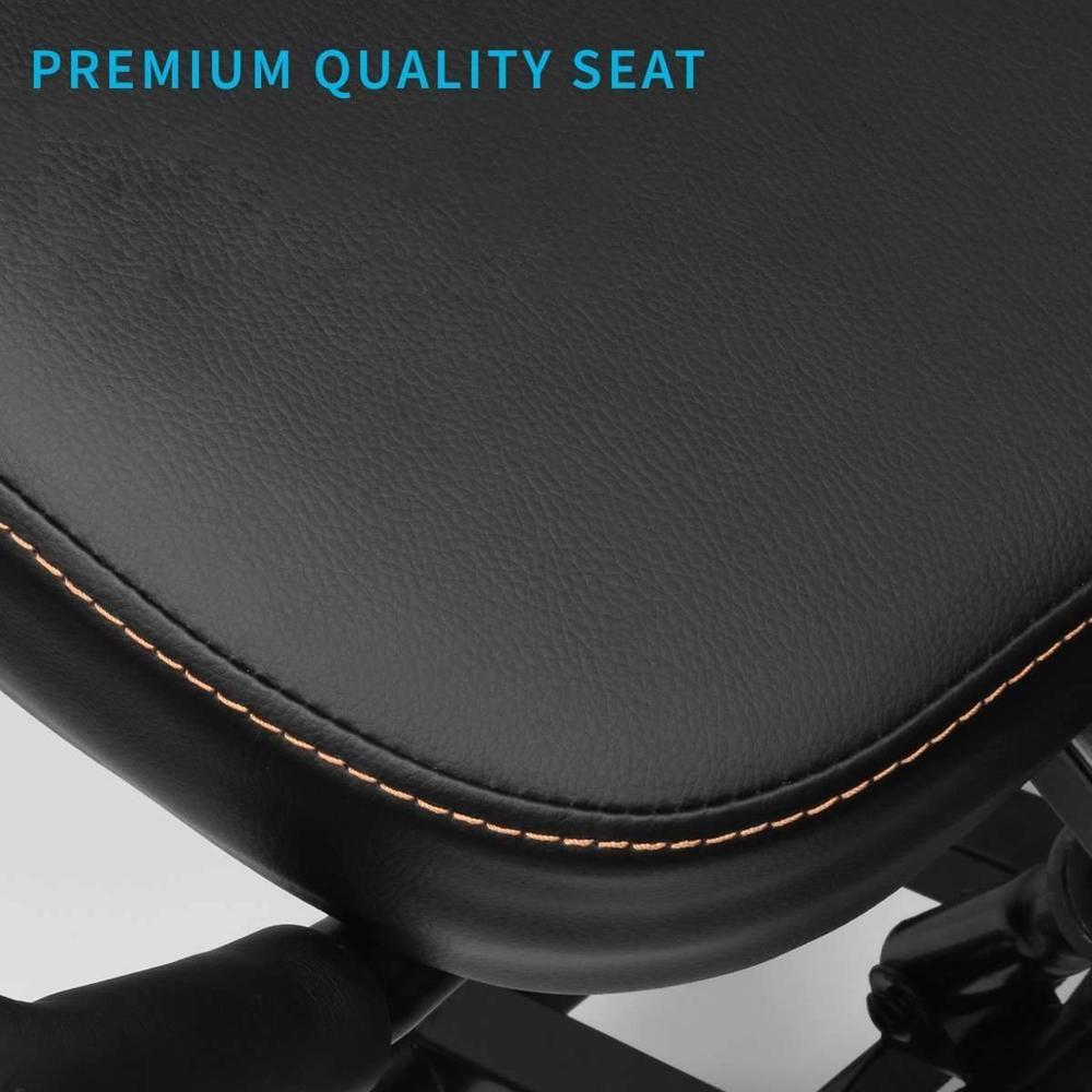 VIvo Kneeling Chair with Back Support & Reviews