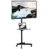 VIVO Mobile Cart for 23" to 55" TVs, STAND-TV04M/STAND-TV04MW
